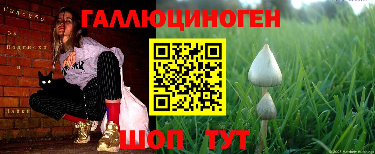 Псилоцибиновые грибы прущие грибы Верхняя Салда